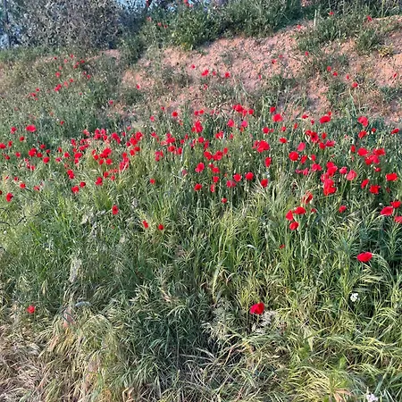 Apartamento Antico Borgo *